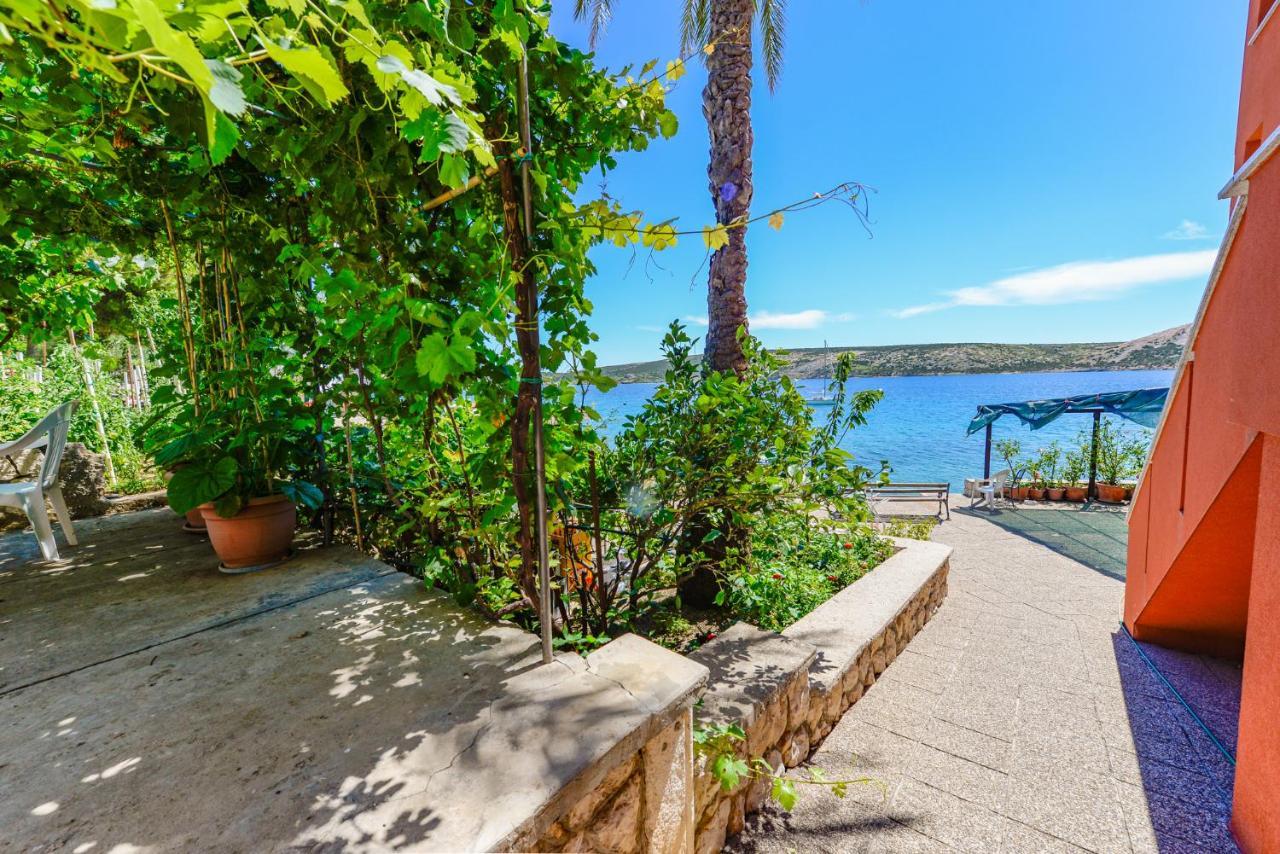 Apartments Amfora - Cozy And Modern Apartments For Up To 15 People, 100M From The Sea And Beach Stara Novalja Eksteriør bilde